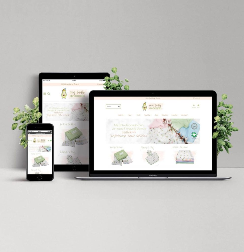 Balıkesir Web Tasarım